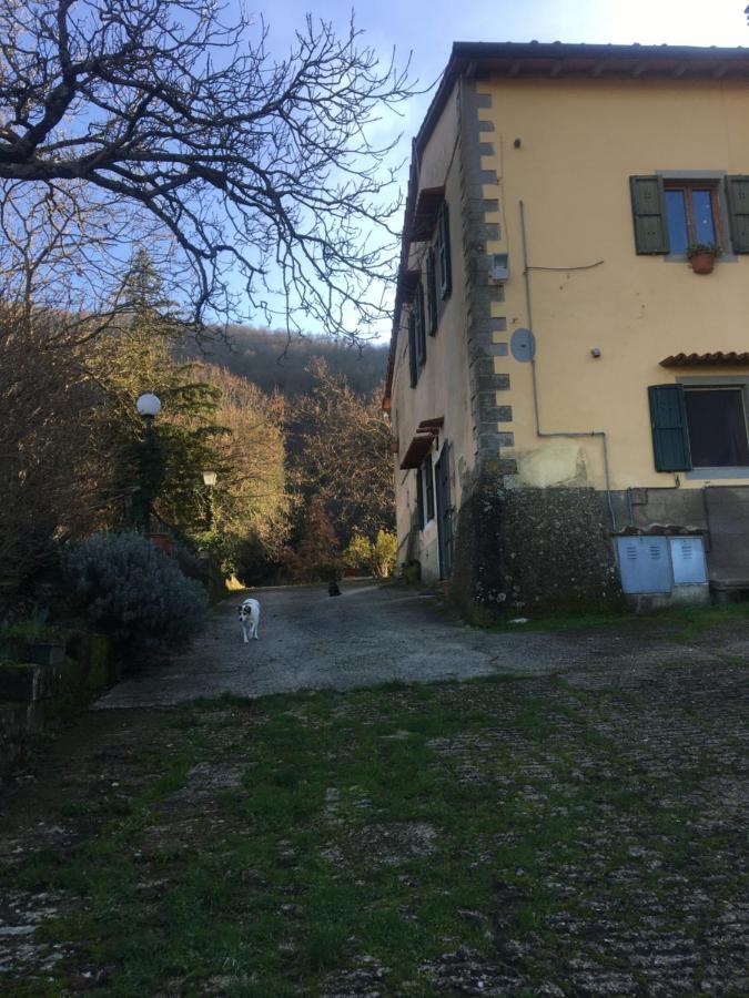 Welcome In Toscana Polcanto Exteriör bild