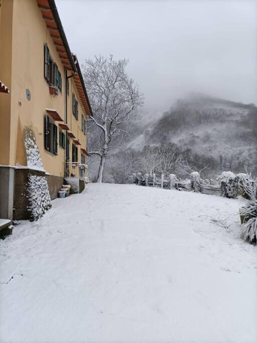 Welcome In Toscana Polcanto Exteriör bild
